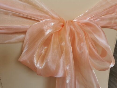 Saténová organza broskyňová (Peach) šírky 23 cm – detail mašle s leskom