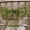 Organza machovo zelená - Moss Green - evkakvety-eshop.eu