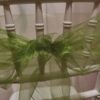Organza machovo zelená - Moss Green - evkakvety-eshop.eu